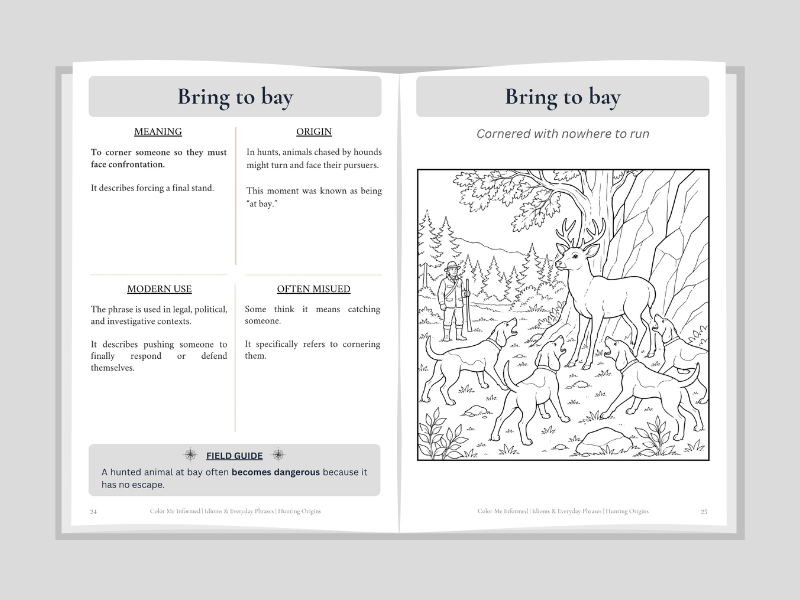 Open book with definition and illustration of the phrase 'Bring to bay'.