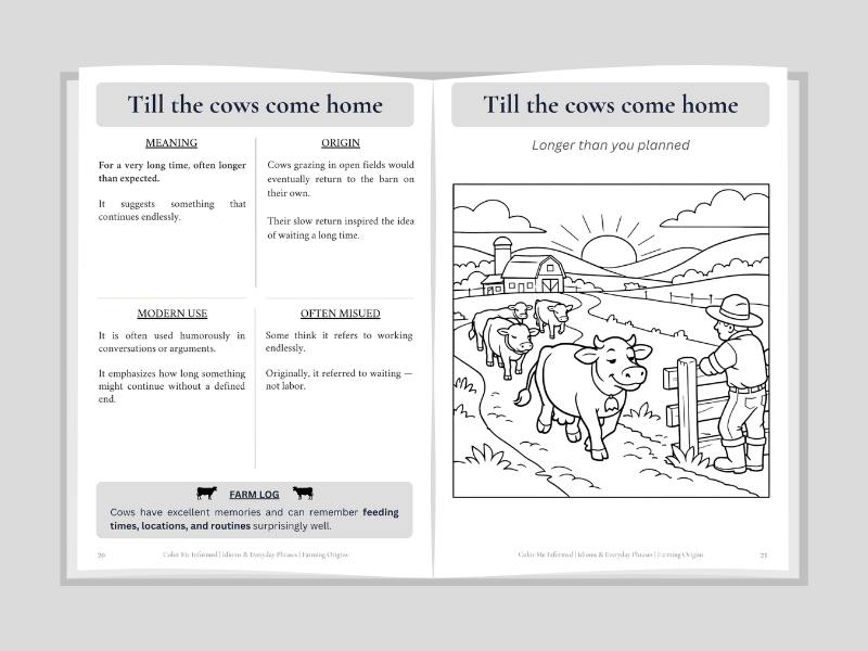 Open book with a page about the idiom 'Till the cows come home' featuring a illustration of a farmer and cows.
