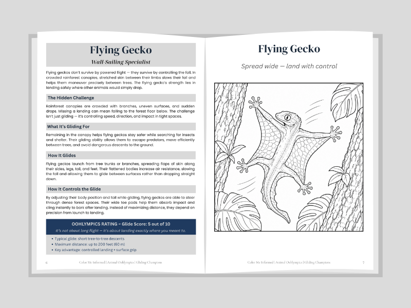 Open book showing a page about a flying gecko with text and illustration.