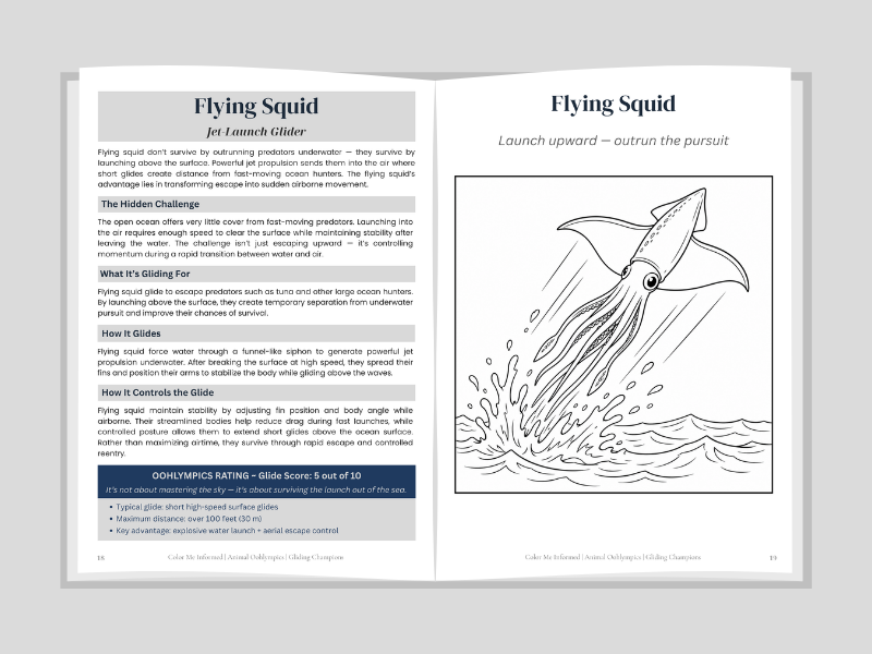 Open book showing information about a flying squid with a diagram on a gray background