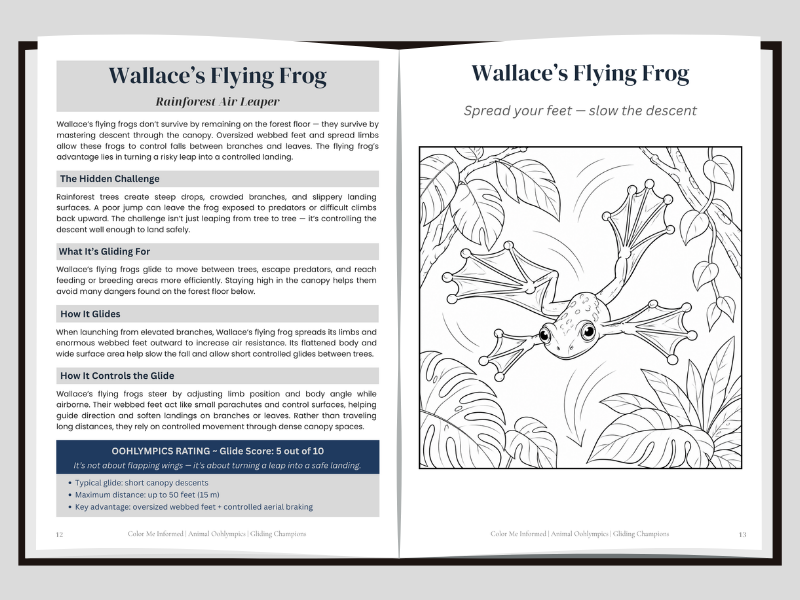 A left page spread about how Wallace's flying frog glides and a right page coloring image of a flying frog