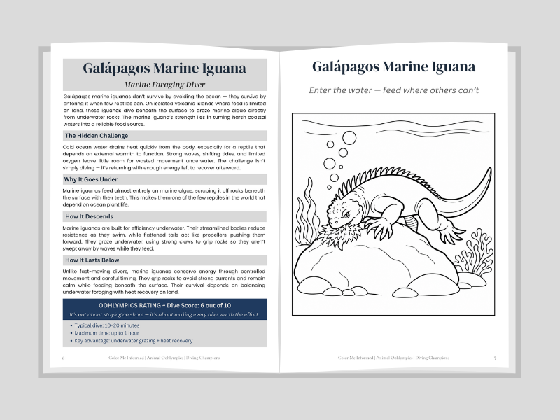 Book open to a page about Galápagos Marine Iguana with text and illustration.