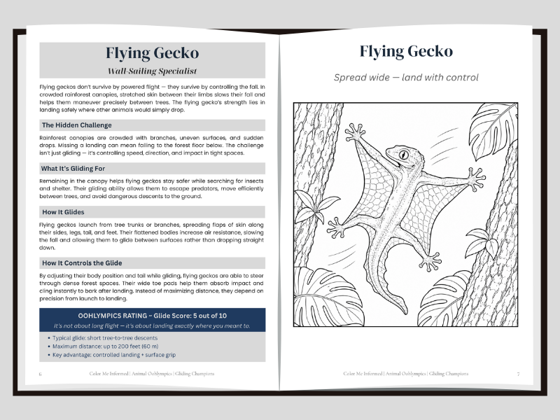 A left page spread about how lying geckos glides and a right page coloring spread of a flying gecko