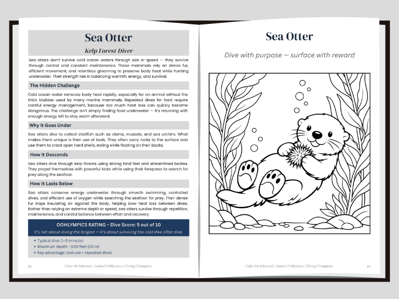 A left page spread about how sea otters dive and a right page coloring image of a sea otter