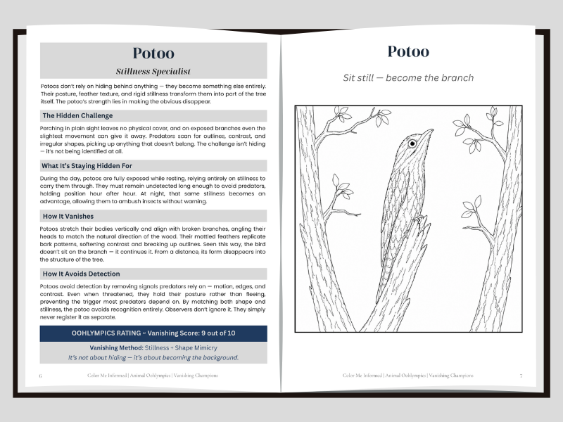 An open booklet or book spread showing printed pages about a 'Potoo' — a silent bamboo specialist. The left page contains text with headings like 'The Hidden Challenge' and 'What It's Staying Hidden For,' plus a blue rating box at the bottom.