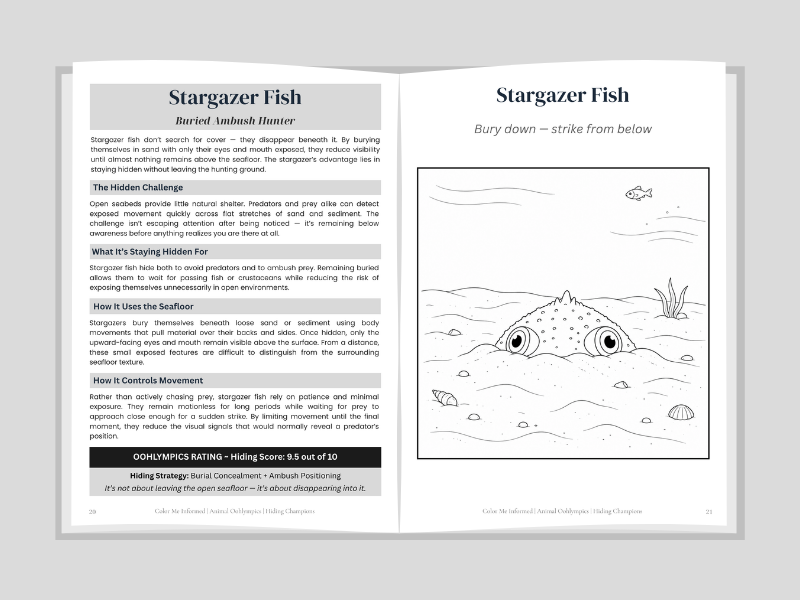 Educational book open to a page about stargazer fish with text and diagram.