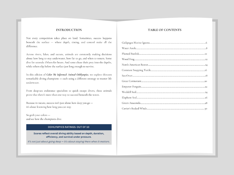 Open book showing an introduction and table of contents on a gray background
