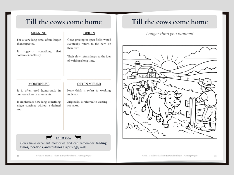 An open book spread showing a black-and-white line drawing and educational text about the phrase 'Till the cows come home,' with coloring page of cows coming home.